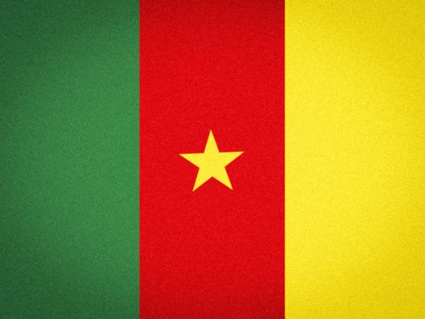 Les couleurs du drapeau et la devise de mon pays